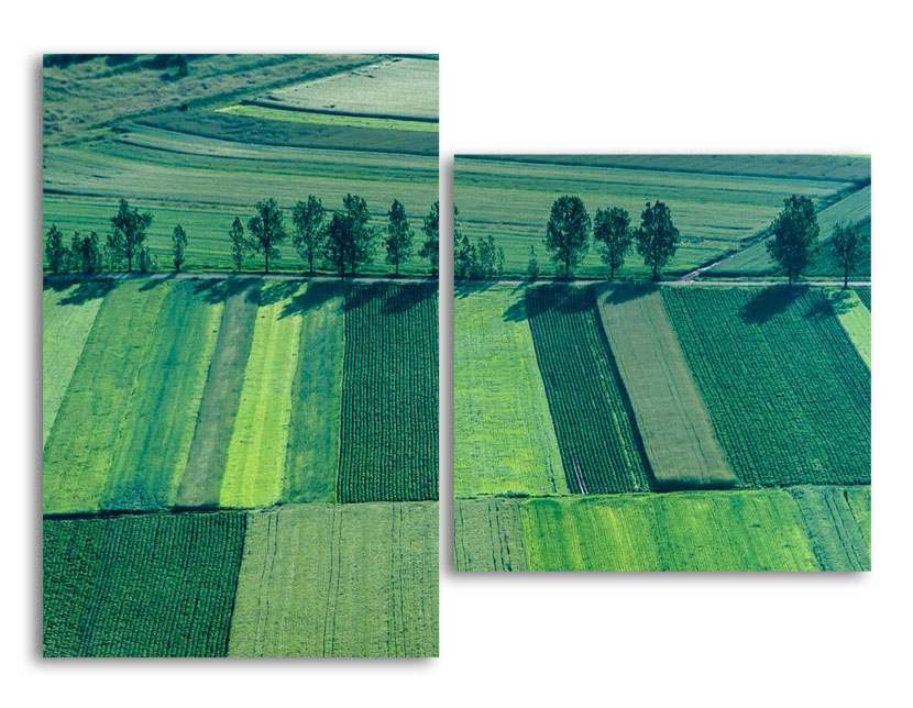 

Модульная картина LaPrint Поля 100х73 см