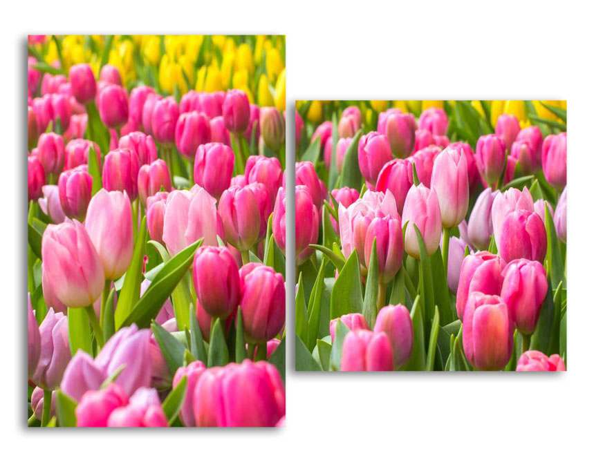 

Модульная картина LaPrint Поле тюльпанов 100х73 см