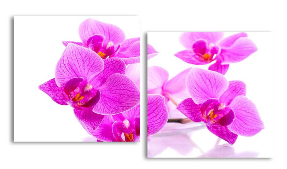 

Модульная картина LaPrint Фиолетовая орхидея 100х54 см