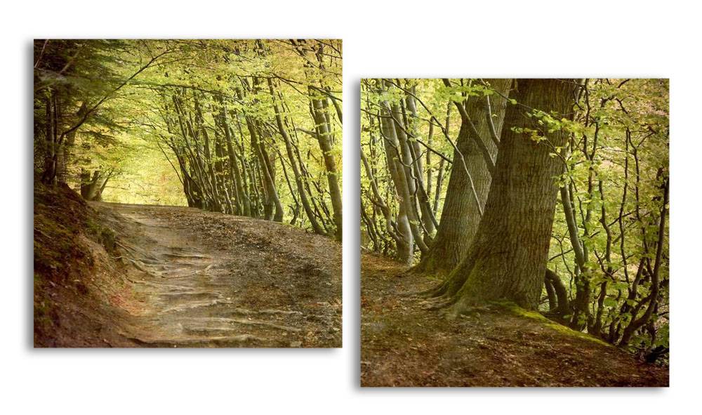 

Модульная картина LaPrint Дорога в лесу 100х54 см