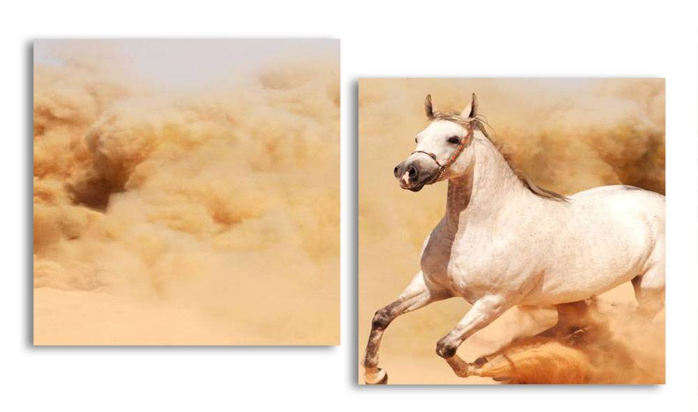 

Модульная картина LaPrint Лошадь в пустыне 100х54 см