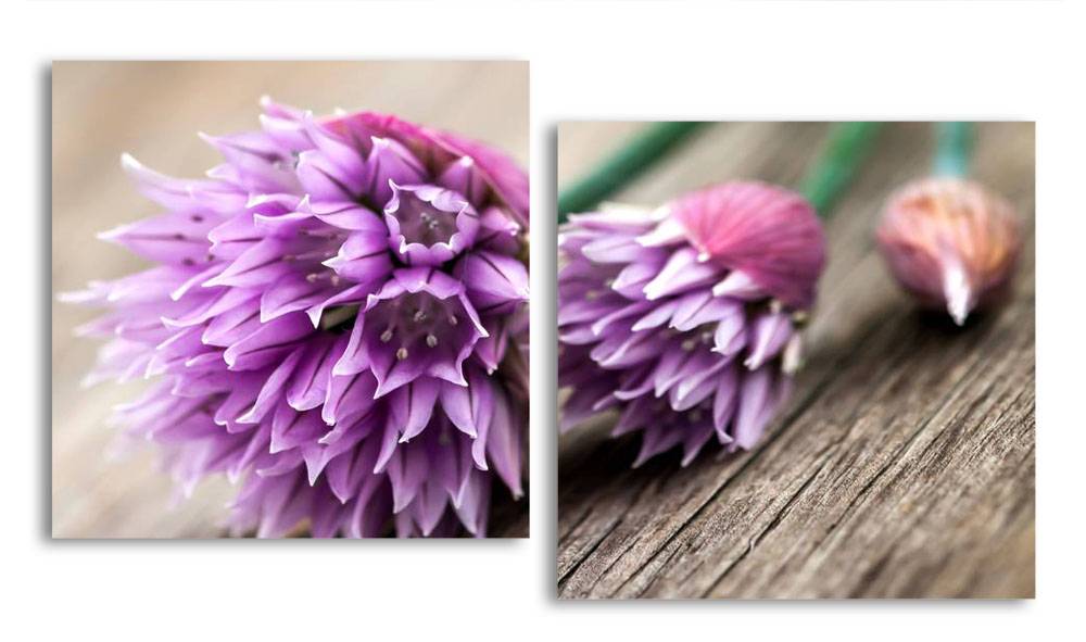 

Модульная картина LaPrint Клевер 100х54 см