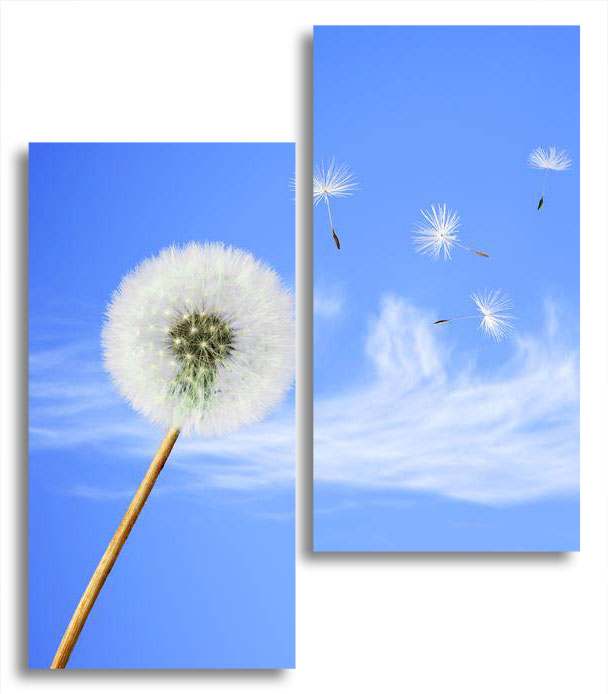 

Модульная картина LaPrint Порыв ветра 100х116 см