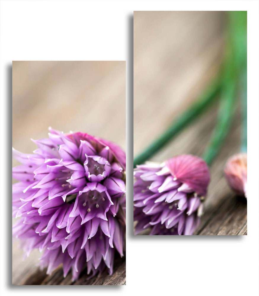 

Модульная картина LaPrint Клевер 100х116 см