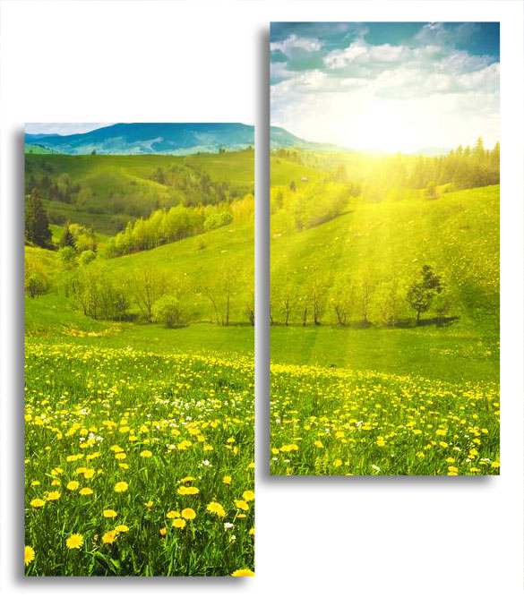 

Модульная картина LaPrint Цветочная долина 100х116 см