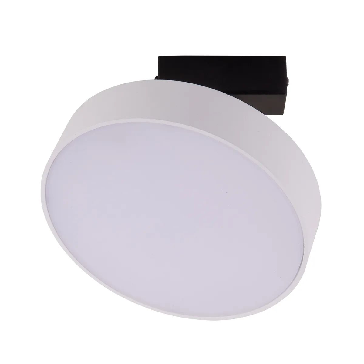 

Потолочный светильник MJ-Light 8306WC 24W 3000K