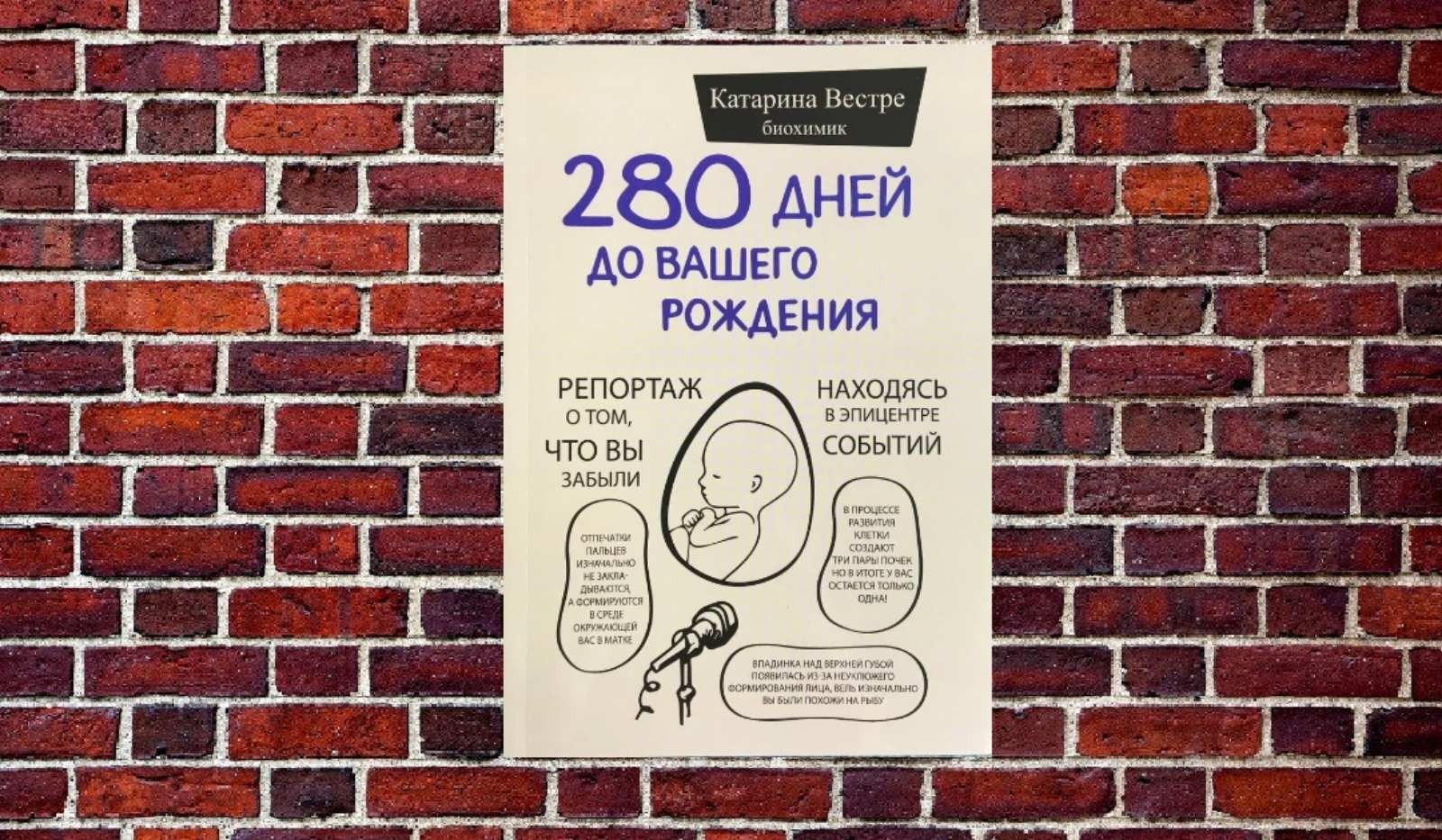 

Катарина Вестре "280 дней до Вашего рождения"