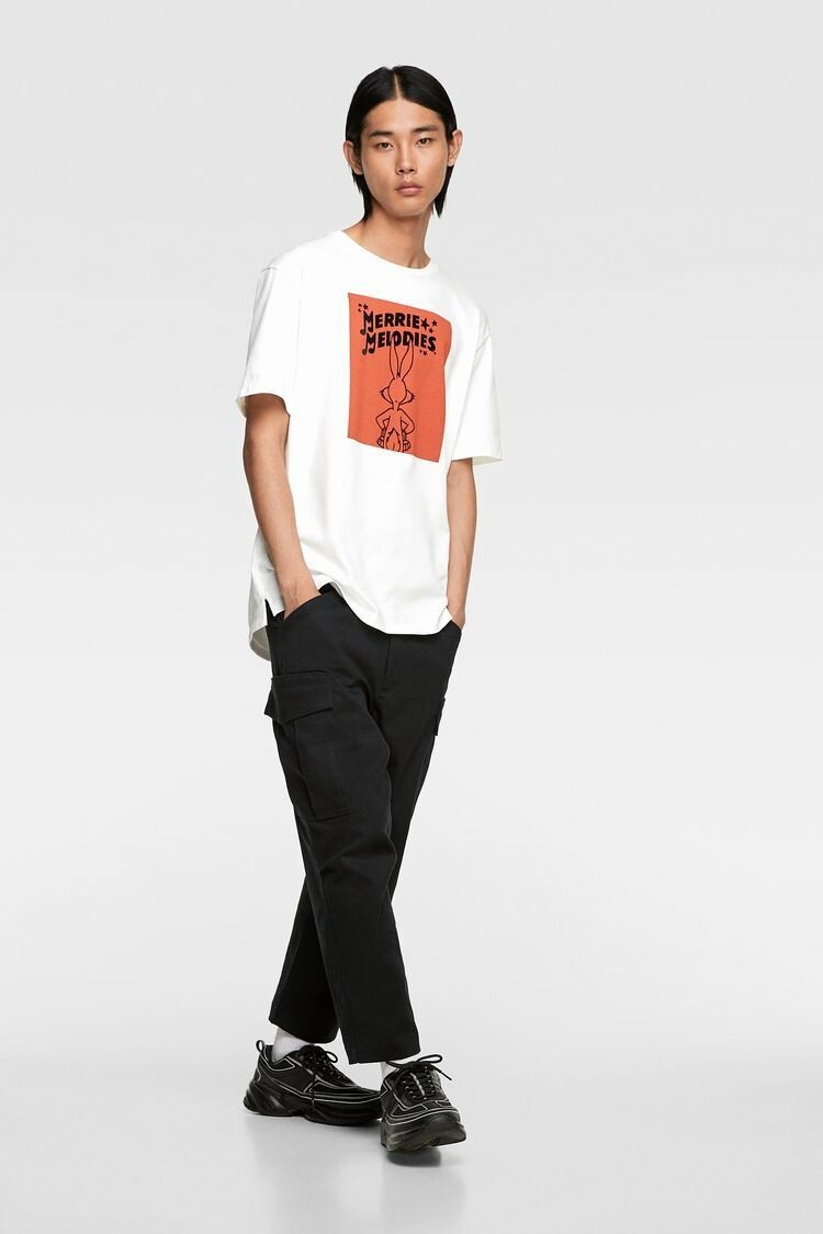 

Футболка Zara белая с рисунком L (0722 305 521)
