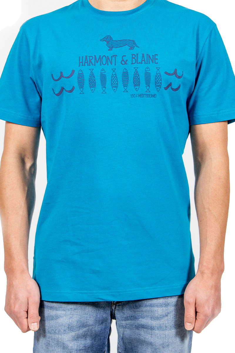 

Футболка Harmont&Blaine XXL Голубой (PI019520784 820-XXL)