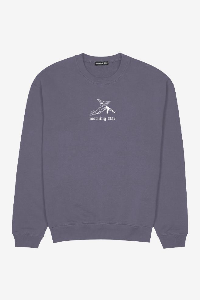 

Світшот Morning Star Angel47 Violet  Фіолетовий MS10293, Світшот Morning Star Angel47 Violet L Фіолетовий MS10293