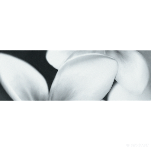 

Плитка Opoczno Pret-a-Porter BLACK FLOWER COMPOSITION декор3