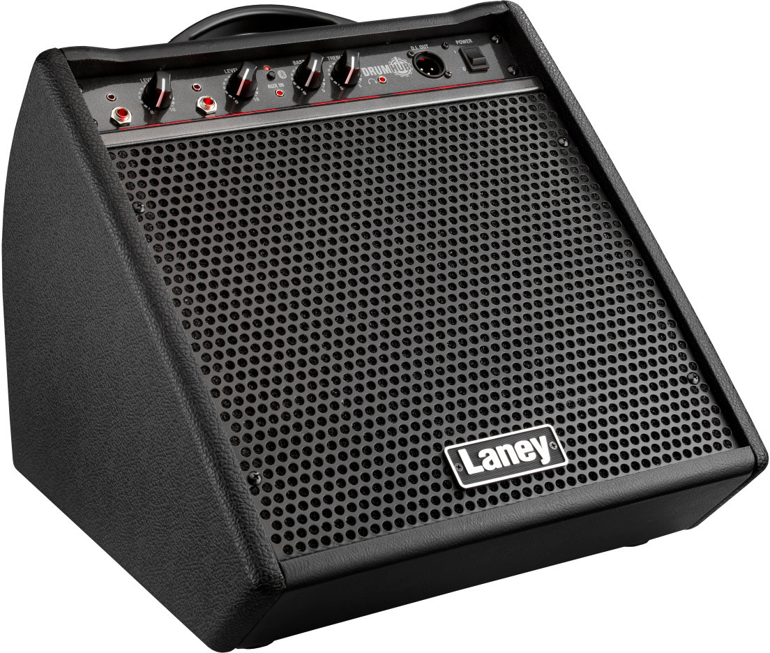 

Акустический комбоусилитель Laney DH80