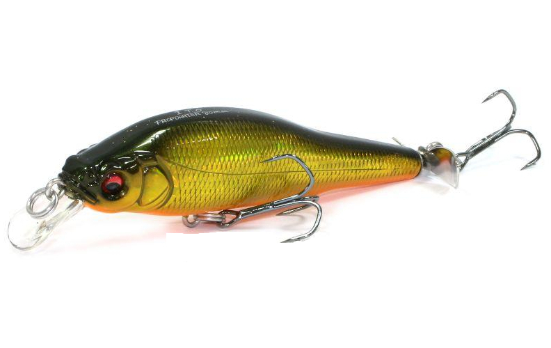 

Воблер Megabass PROP DARTER 80 col. GG KINKURO (арт.1234909924768)