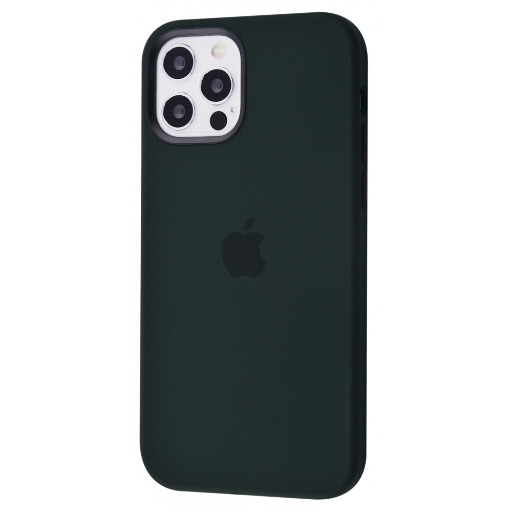 

Чехол Silicone Caise with MagSafe and Splash Screen для iPhone 12 Pro Max cyprus green