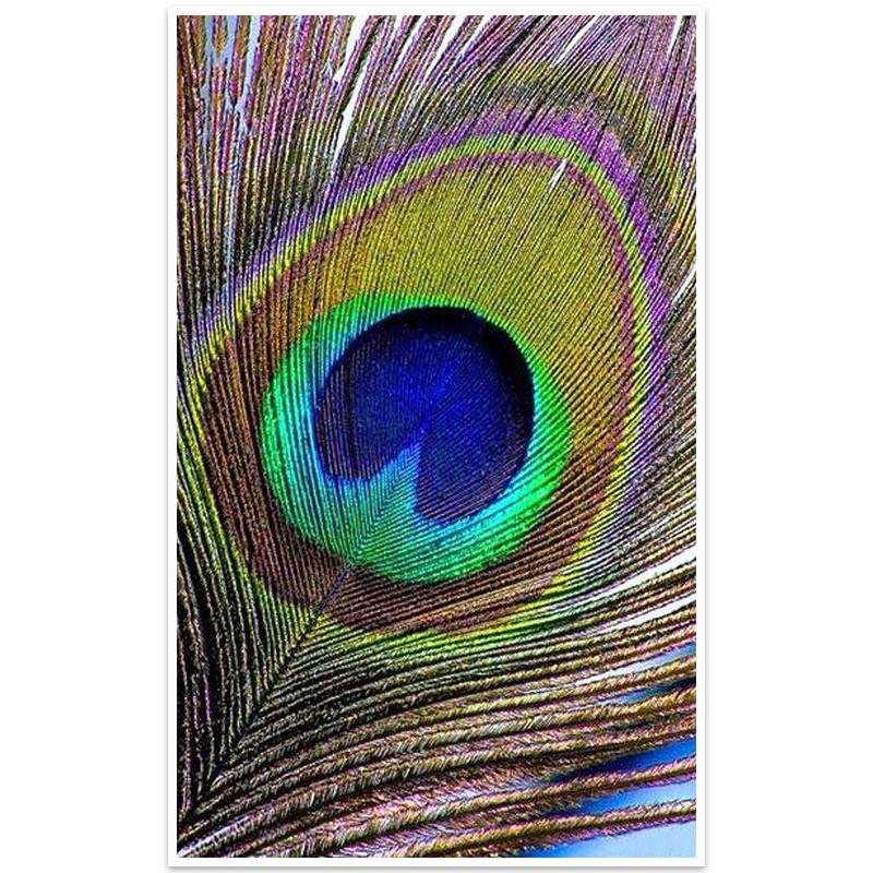 

Алмазная мозаика Lesko DIY K393 "Перо павлина" 30х48см выкладка стразами на холсте (SKU_5995-19894)