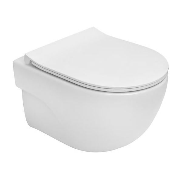 

MERIDIAN Rimless унитаз подвесной 48см, CPT, с сиденьем Slim Urea/Duroplast, с системой плавного опускания A34H242000