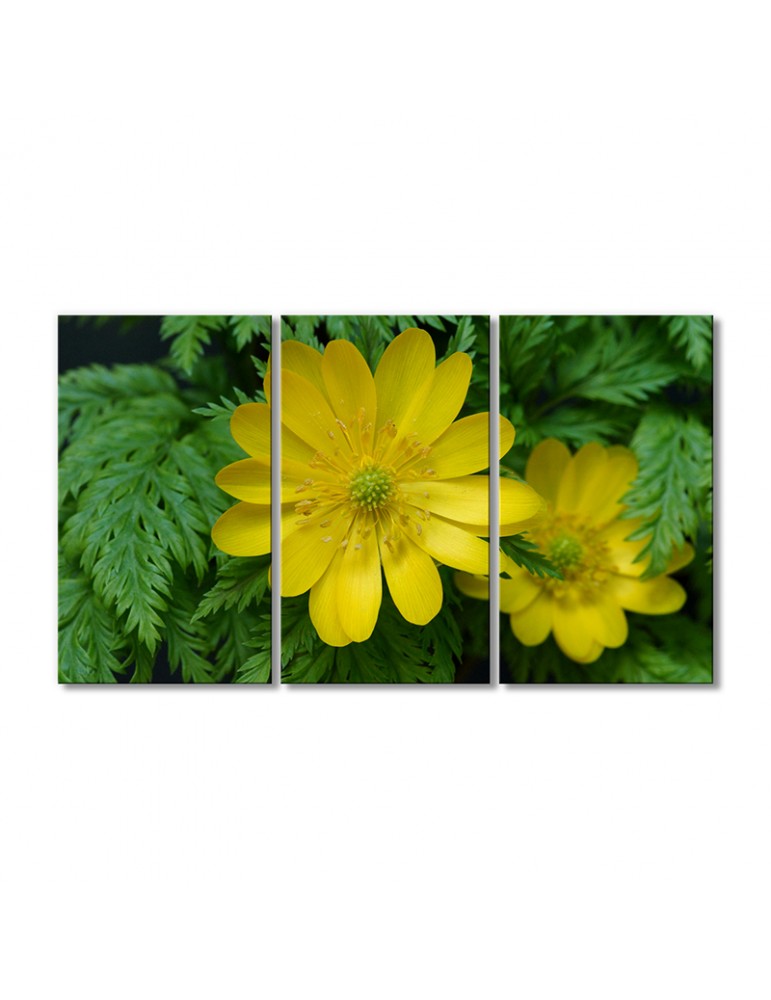 

Модульная картина Artel «Адонис растение» 3 модуля 120x180 см