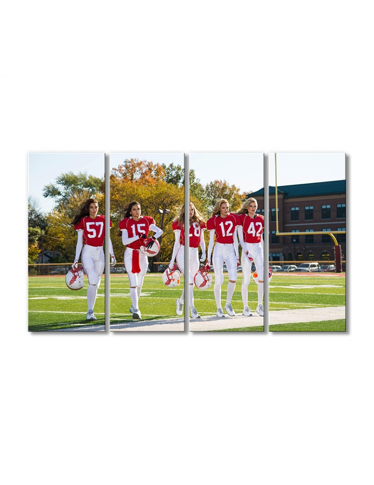

Модульная картина Artel «Американский футбол» 4 модуля 120x180 см
