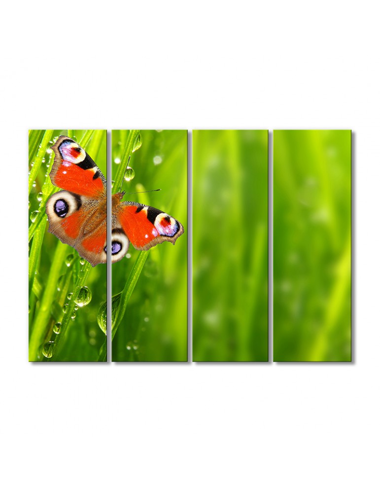 

Модульная картина Artel «Бабочка в траве» 4 модуля 60x90 см