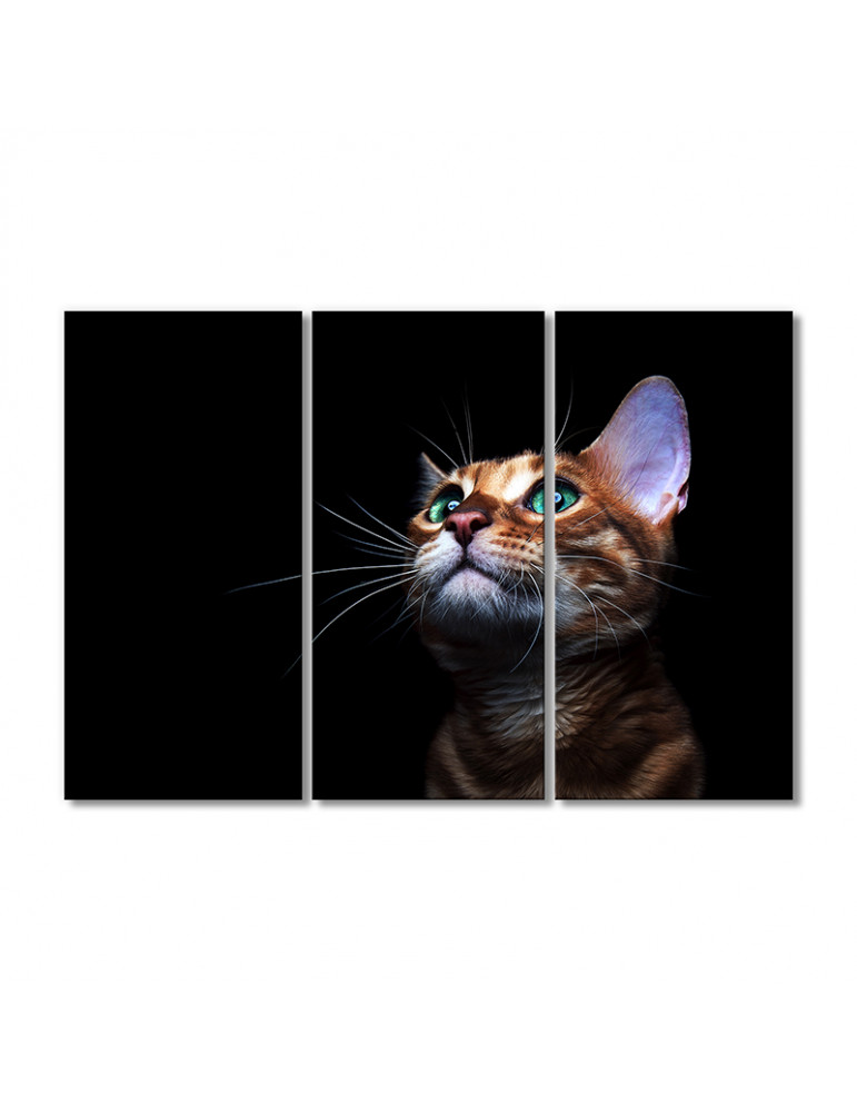 

Модульная картина Artel «Бенгальский кот» 3 модуля 90x135 см
