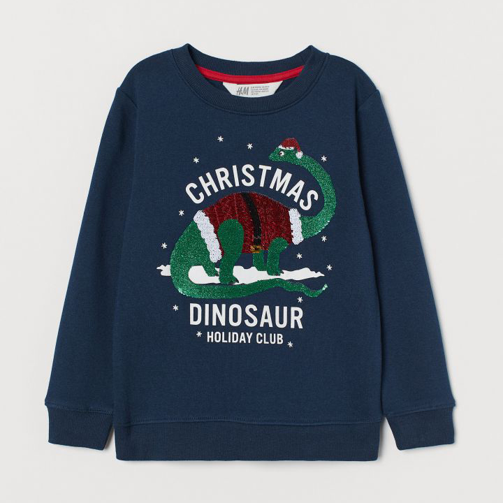 

Свитшот H&M 060872995 104 см Темно-синий (6666000158321)