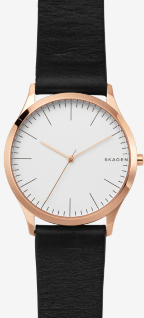 

Часы SKAGEN SKW1102