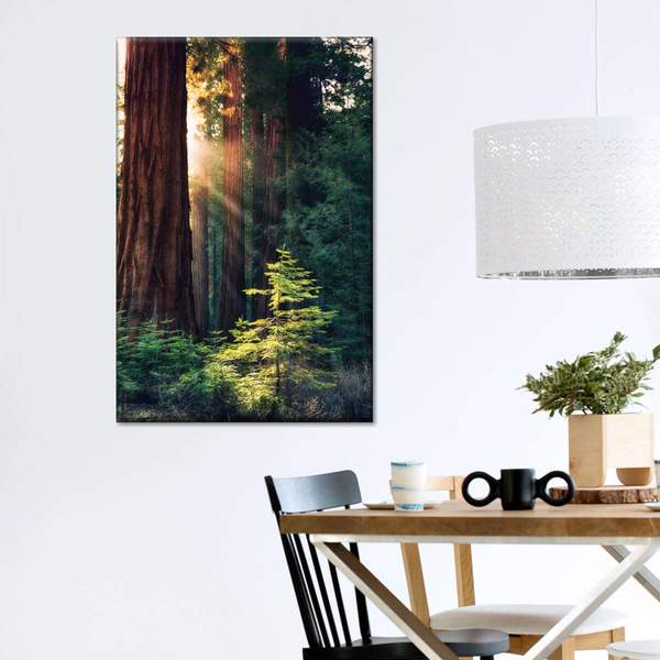 

Картина Солнце в лесу 81x54 см (48)