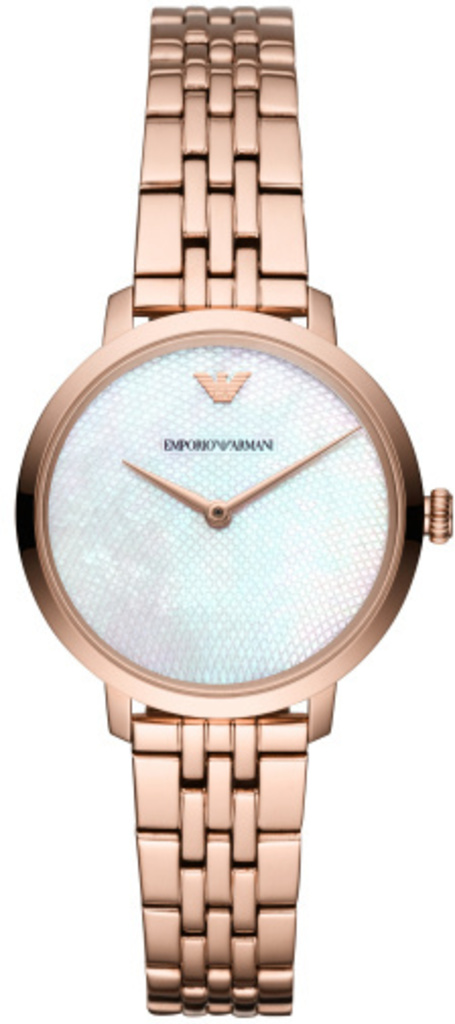

Часы Emporio Armani AR11158