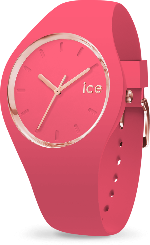 

Часы Ice-Watch 015335