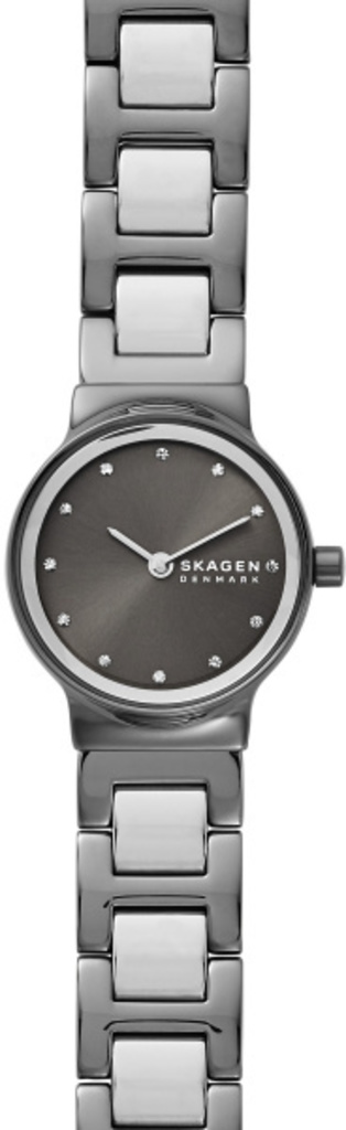 

Часы SKAGEN SKW2831