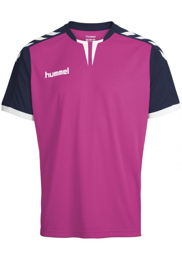 

Футболка Hummel CORE SS POLY JERSEY XL МАЛИНОВЫЙ (003-636-4329-XL)