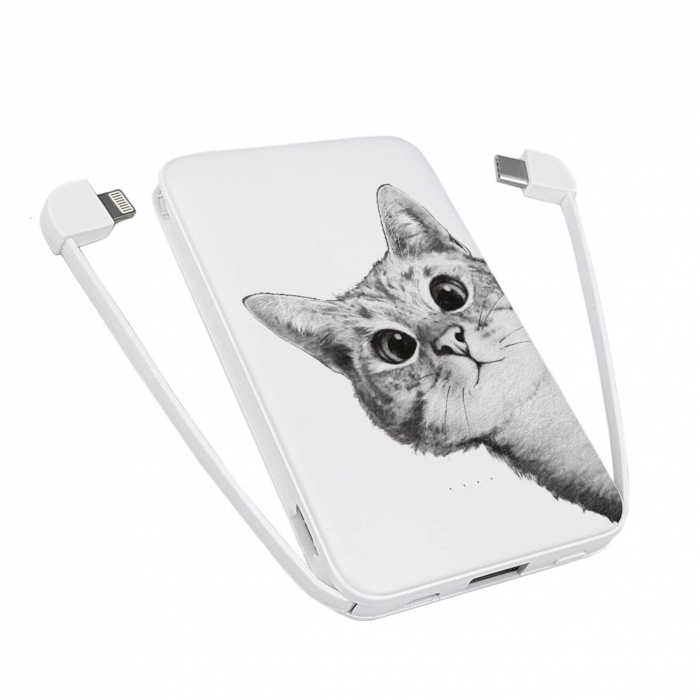 

Повербанк ZIZ Эй, Кот 5000 мАч - original