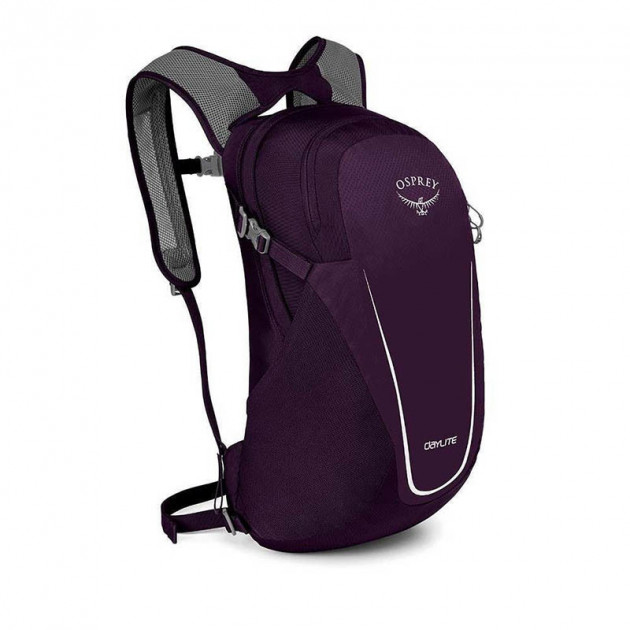 

Городской рюкзак Osprey Daylite 13 Amulet Purple O/S (009.2100)