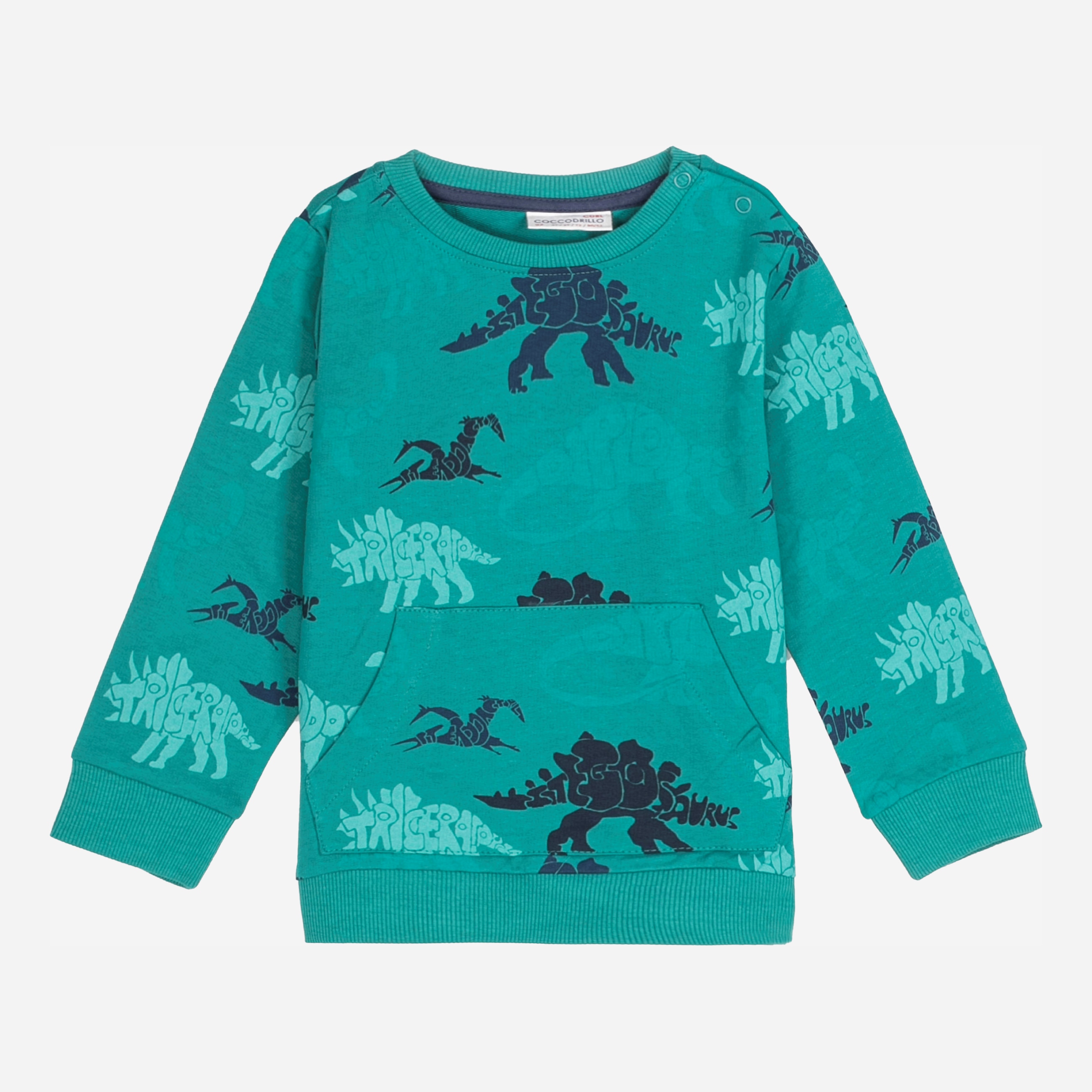 

Свитшот Coccodrillo Dinosaur ZC1132101DIN-011 110 см Зеленый