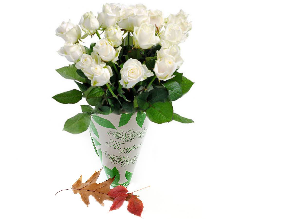 

Набор декоративной упаковки для цветов Flora FL1, картон, 10 шт. (UP-01)