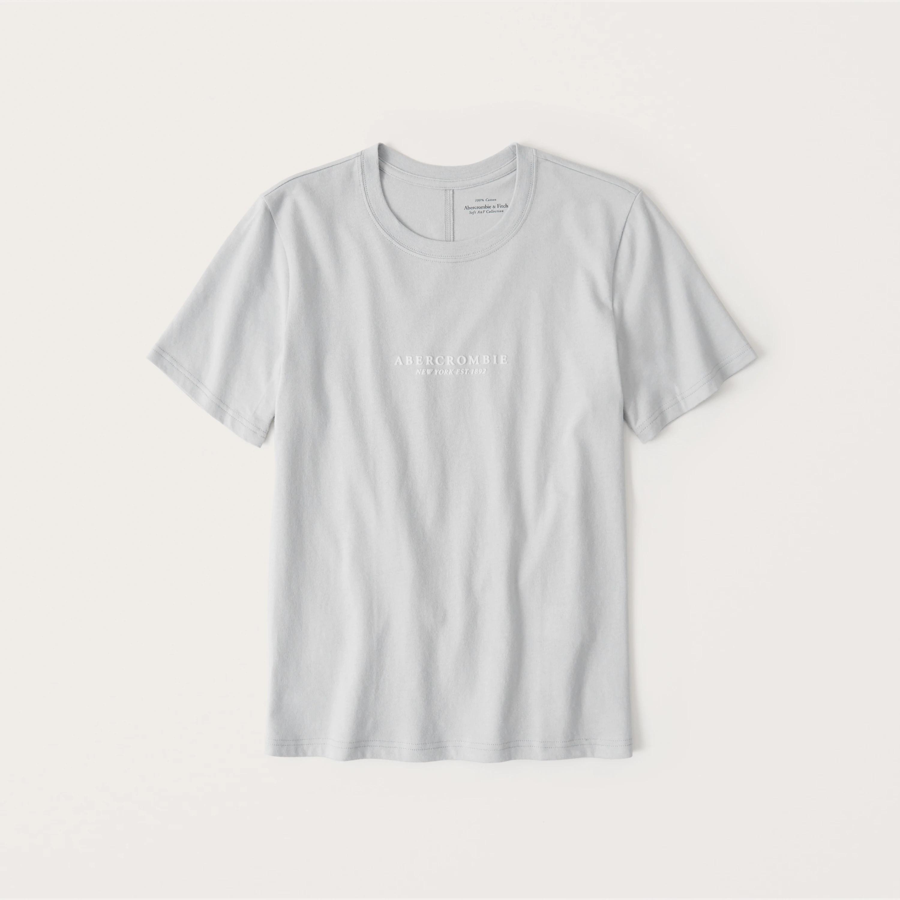 

Футболка Abercrombie & Fitch Hollister AF8587W S Светло-серый