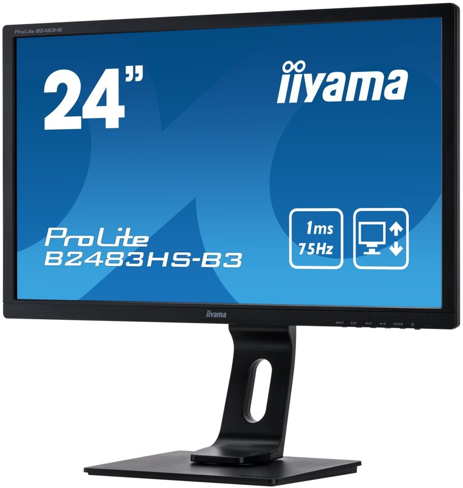 

Монитор iiyama 24" ProLite B2483HS-B3