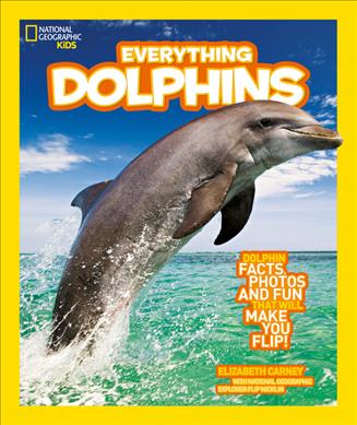 

Dolphins