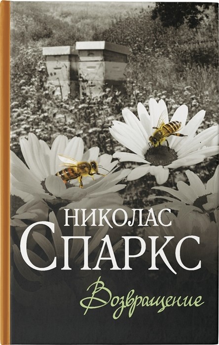

Возвращение (4344275)