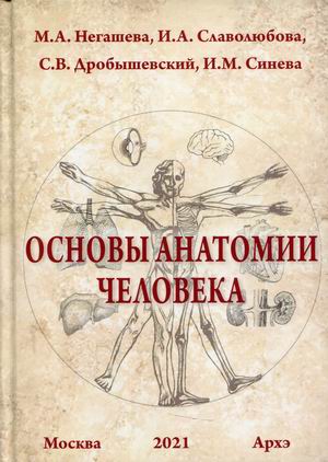 

Основы анатомии человека. Учебное пособие