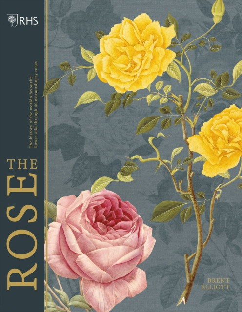 

The Rose (4286134)