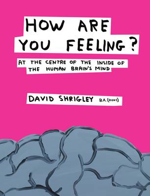 

How Are You Feeling At the Centre of the Inside of The Human Brain`s Mind