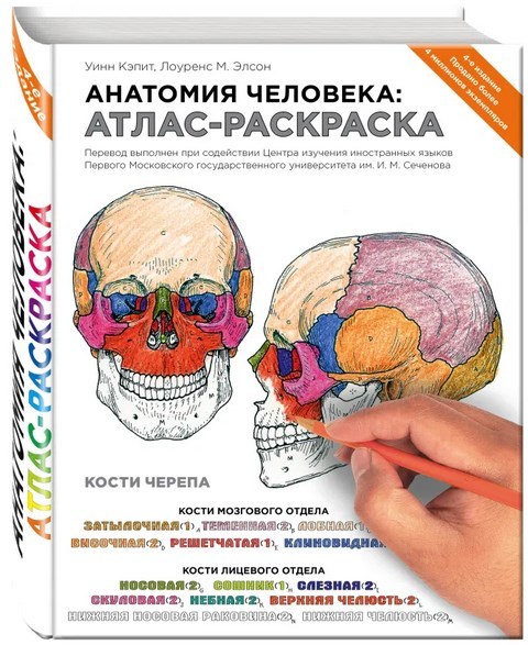 

Анатомия человека: атлас-раскраска (4330671)