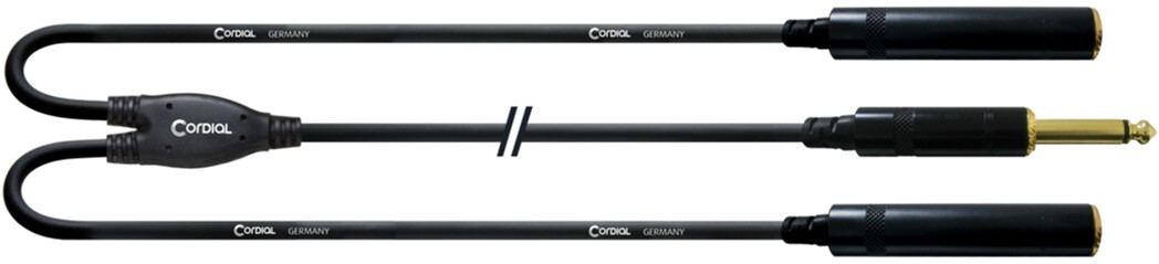 

Инсертный кабель Cordial Rean plug 6.3 мм Mono gold / 2 x jack 6.3 мм Mono gold 0.3 м Black (CFY 0,3 PGG)