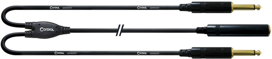 

Инсертный кабель Cordial Rean jack 6.3 мм Mono gold / 2 x plug 6.3 мм Mono gold 0.3 м Black (CFY 0,3 GPP)