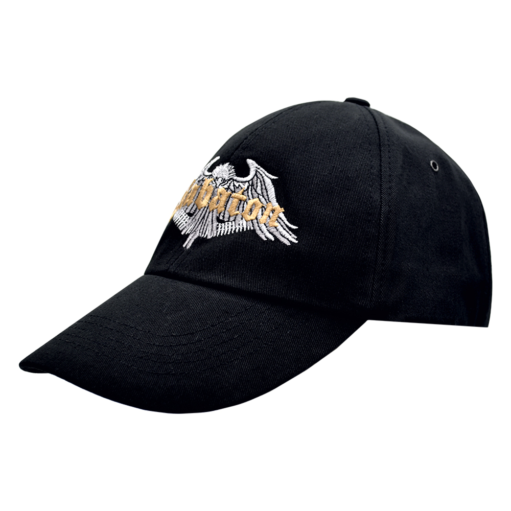 

Бейсболка Rockway Sabaton RW Черный