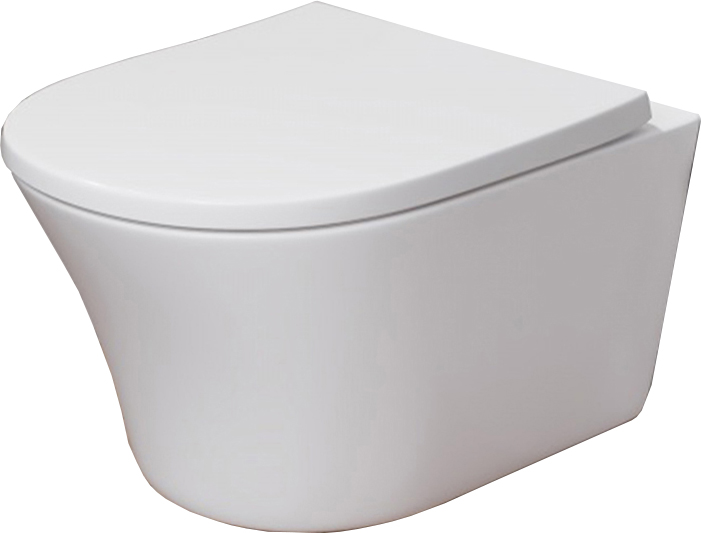 

Унитаз подвесной AM.PM Tender безободковый с сиденьем Soft Close C45A1700SC