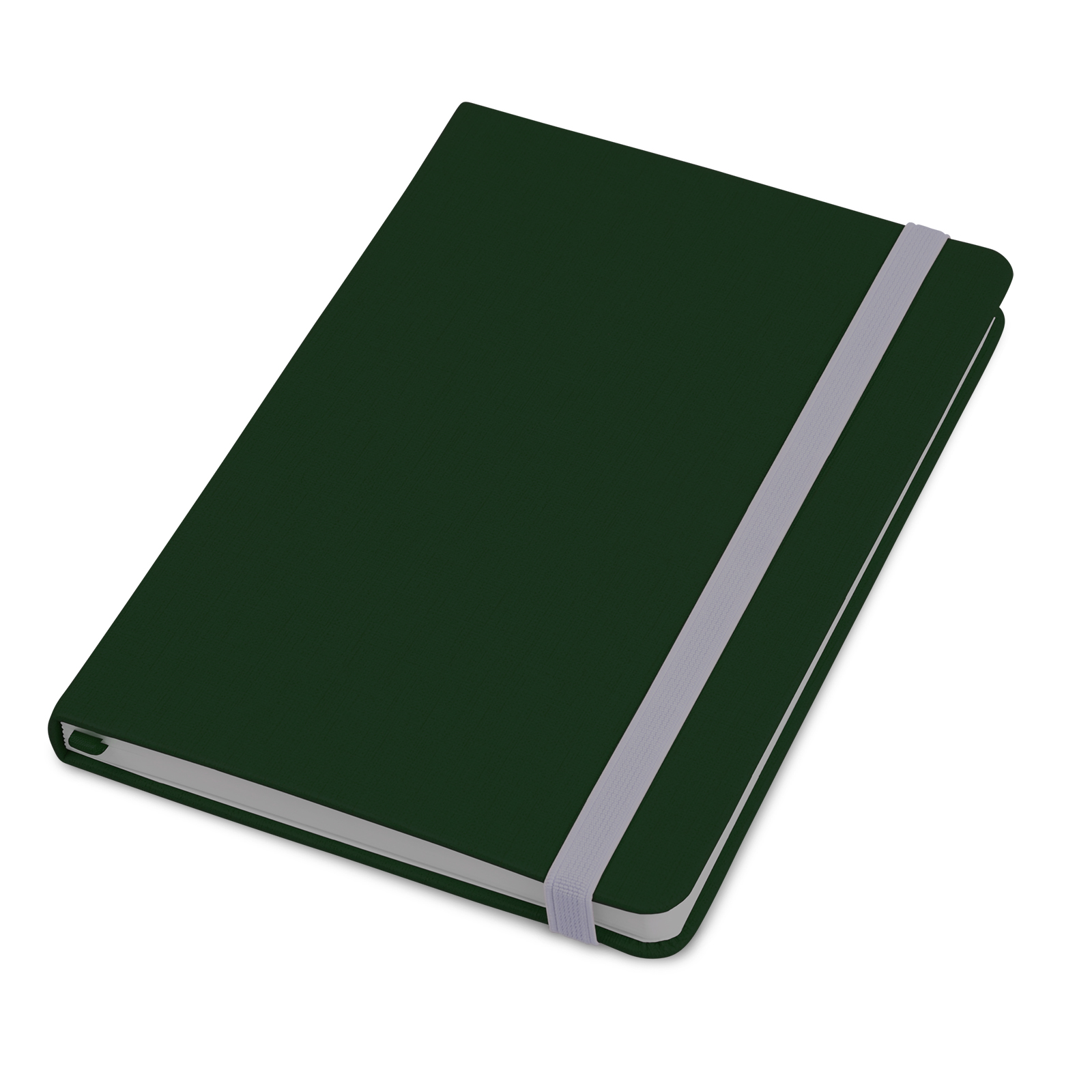 

Записная книжка Paperbook Canvas А5 Линия Зеленая