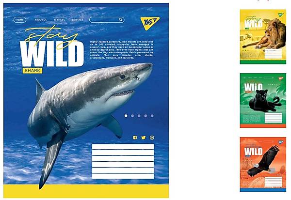 

Тетрадь А5 24 листа в клетку Stay wild (20 шт. в упак микс видов) YES (764994)