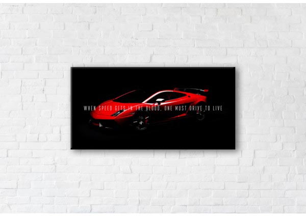 

Картина на холсте IBR Drive For Life 40x80 см